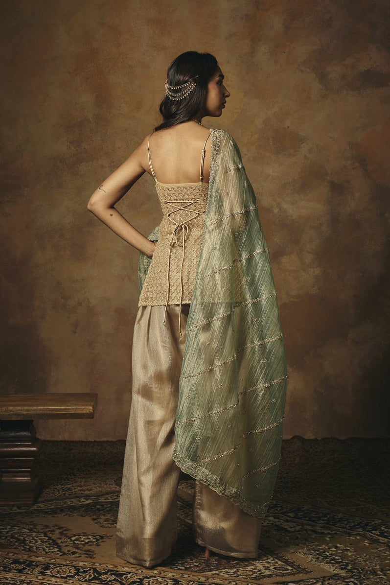 Aarunya Gold 3D Embroidered Farshi Suit Salwar Set