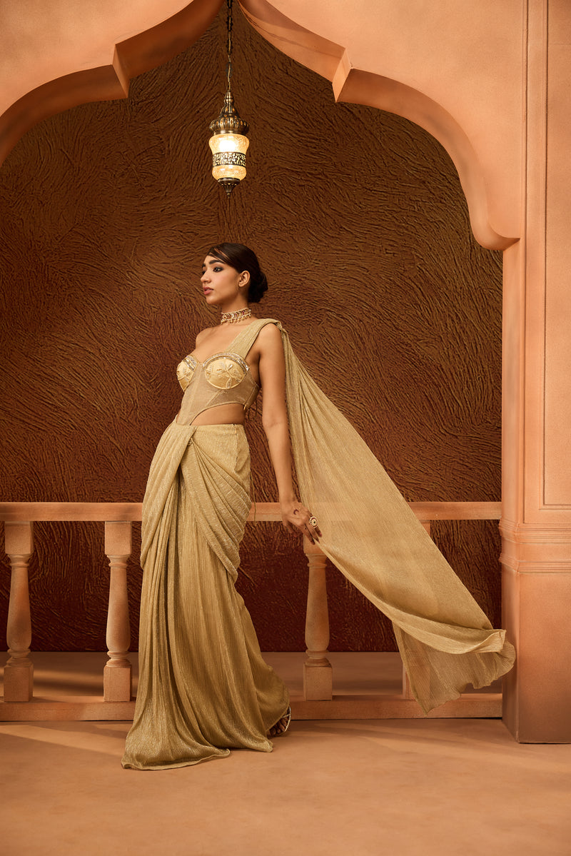 Dyuti Gold Shimmer Pre-Draped Saree Gown
