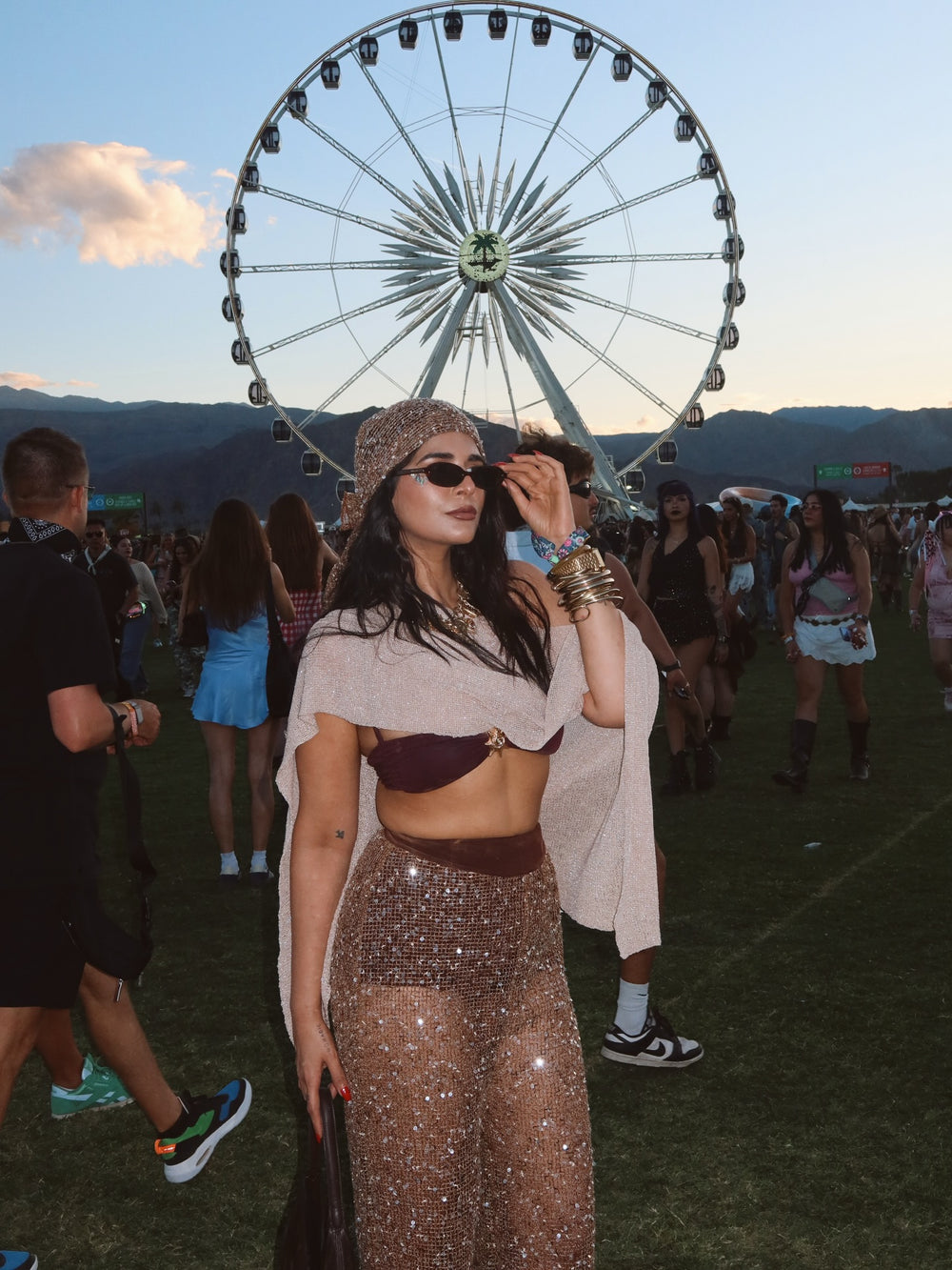 Romana Brown Embroidered Crochet Pants