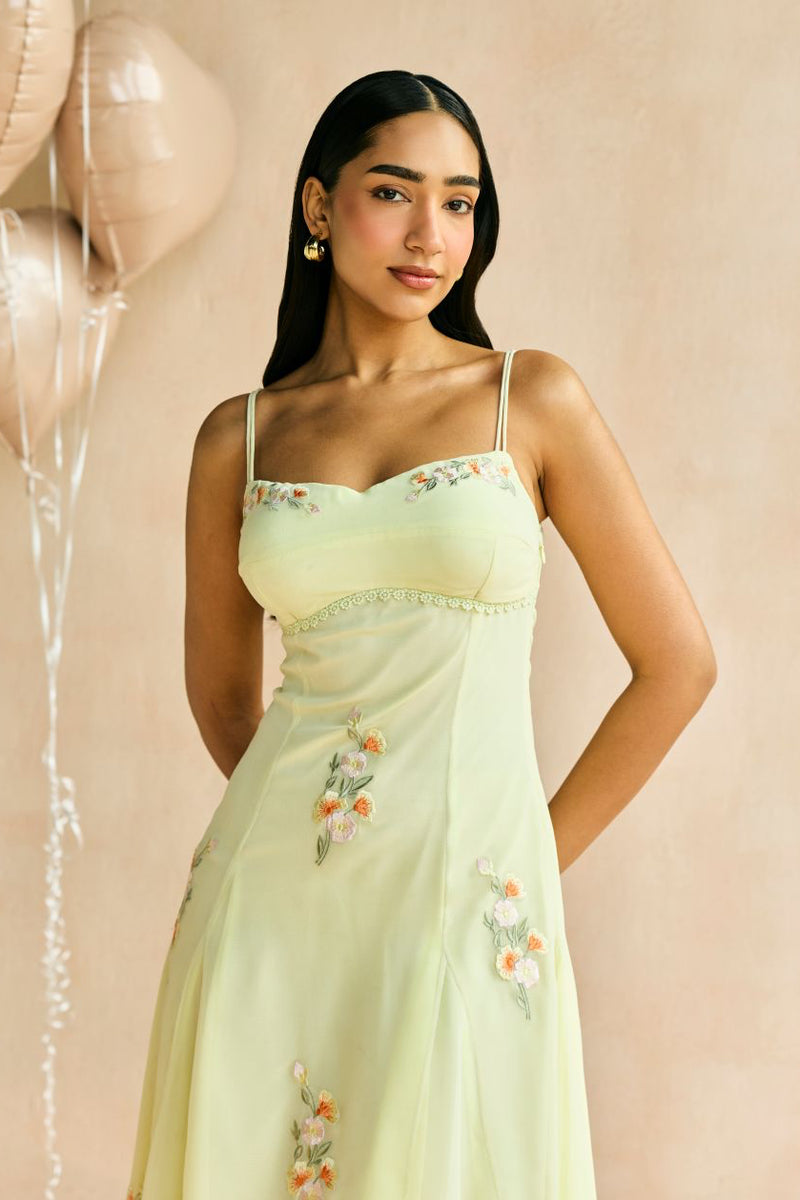Buttercup Embroidered Godet Midi Dress – Lea Clothing Co