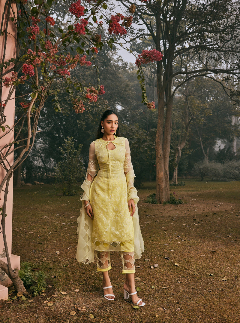 Mazneen Yellow Organza Kurta Set with a bright yellow organza fabric and a stylish kurta design