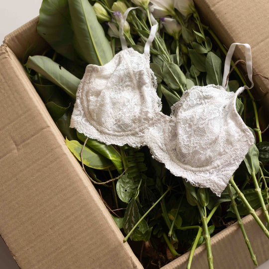 Nyla White Underwired Cotton Lace Bra