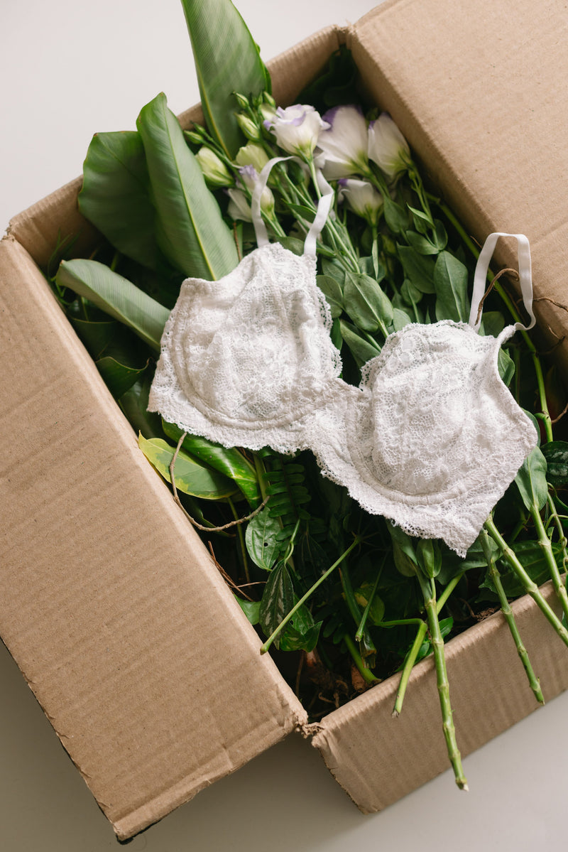 Buy Our Nyla White Underwired Cotton Lace Bra