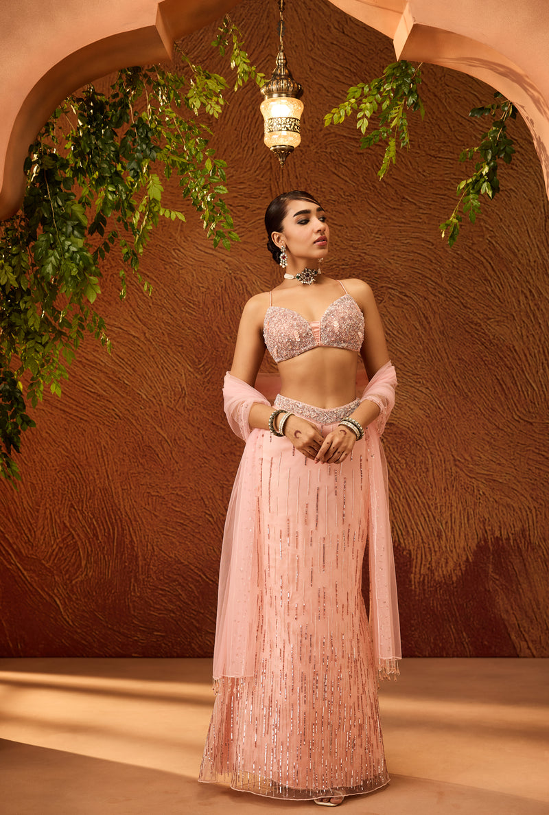 Pankhuri Baby Pink Embellished Mermaid Lehenga Set
