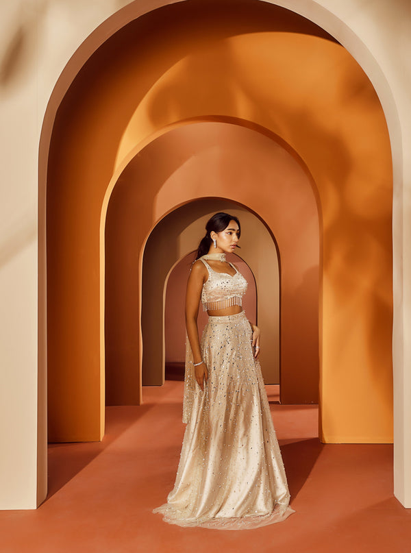 Elegant woman in a Prisha Nude Stone Work Satin Lehenga, showcasing sophisticated glamour