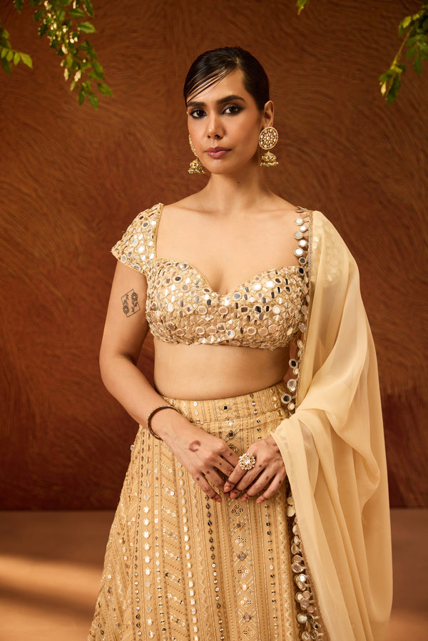 Sumona Gold Dual Shade Embroidered Lehenga Set
