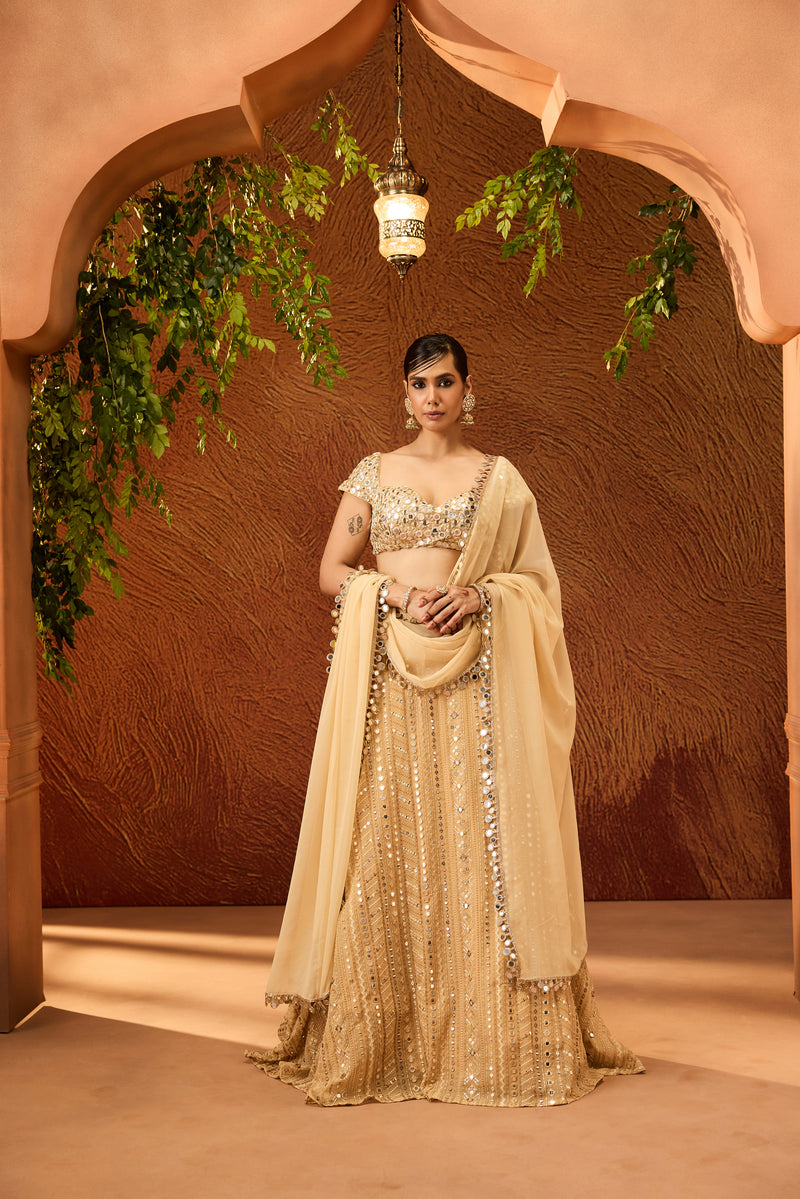 Sumona Gold Dual Shade Embroidered Lehenga Set
