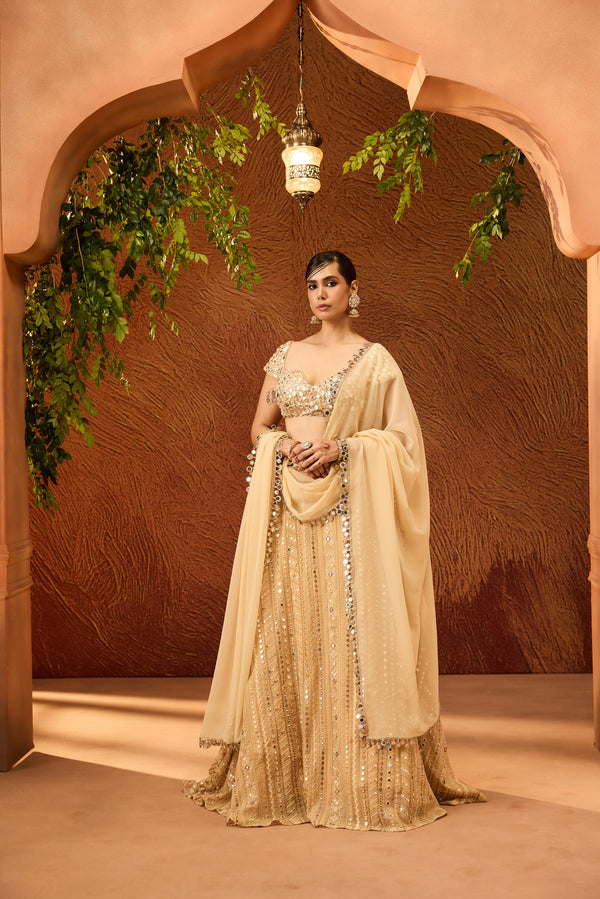 Sumona Gold Dual Shade Embroidered Lehenga Set
