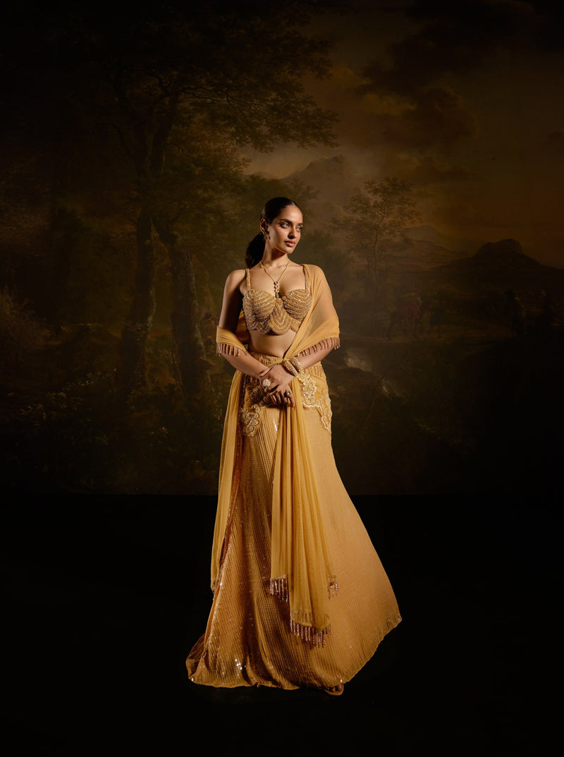 "Yashvi Gold Embroidered Saree: Opulent gold saree with intricate embroidery for a regal and luxurious appearance."