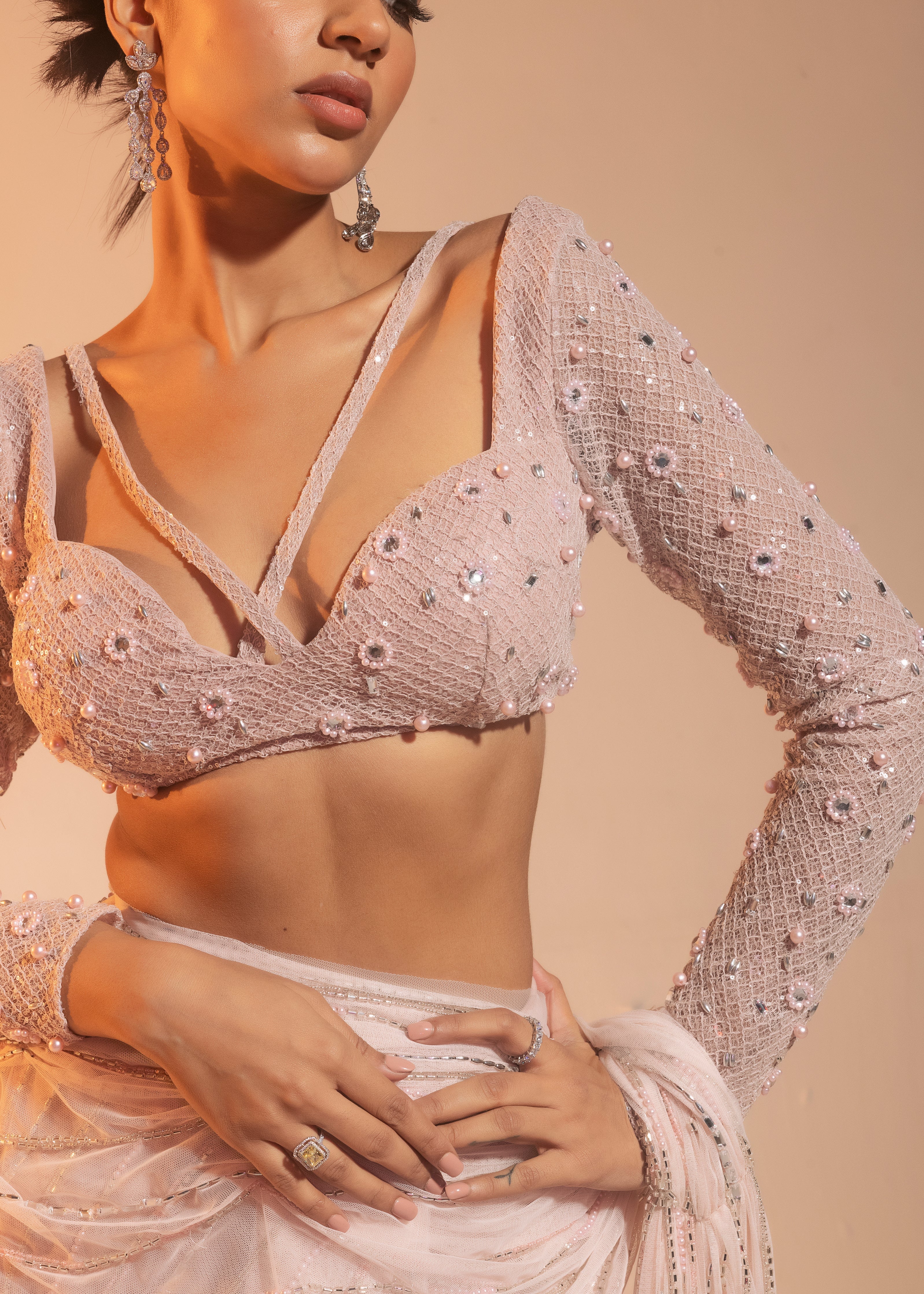 Blush Hand-Embroidered Draped Saree 